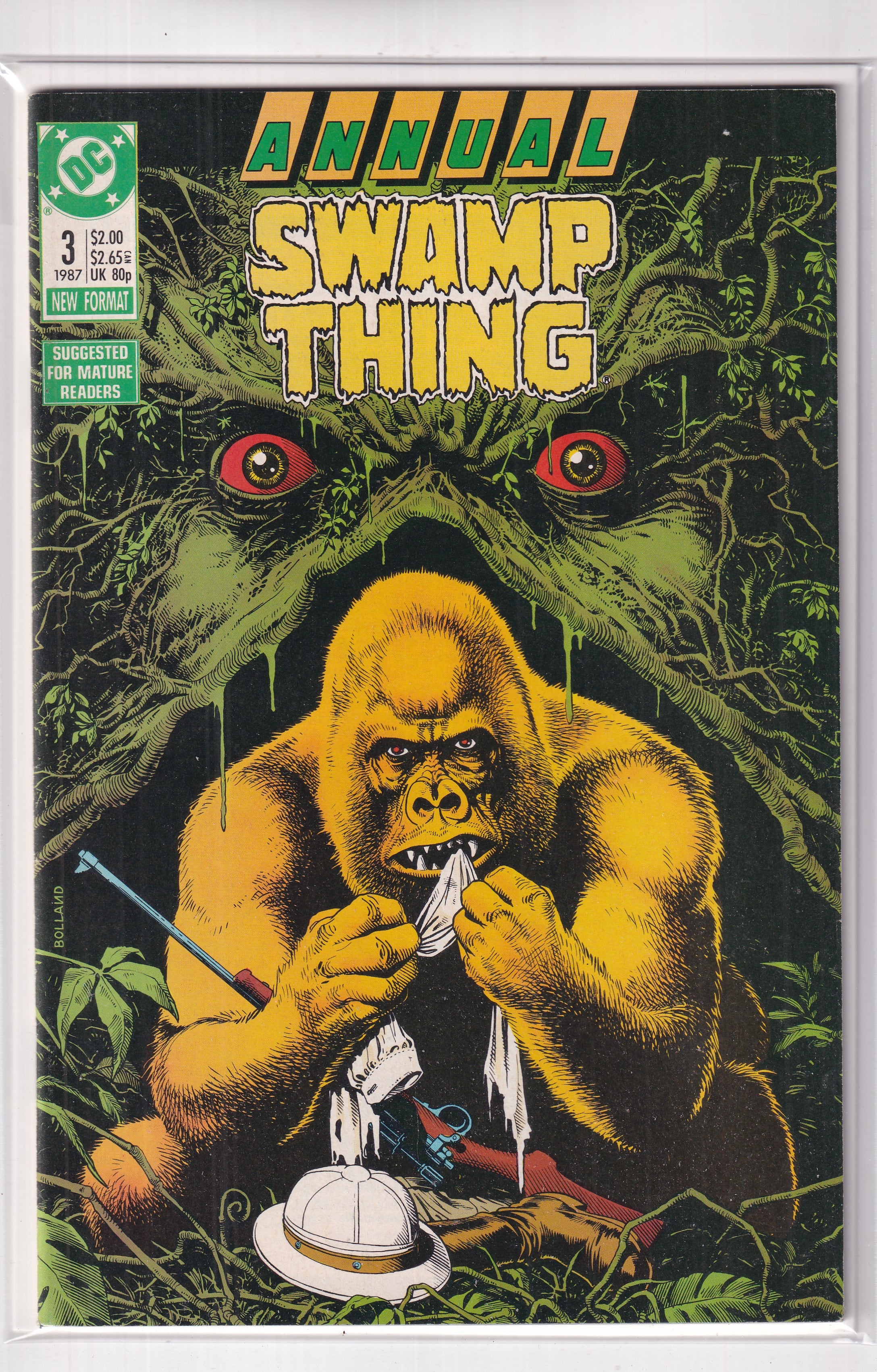 ANNUAL SWAMP THING #3 - Slab City Comics 