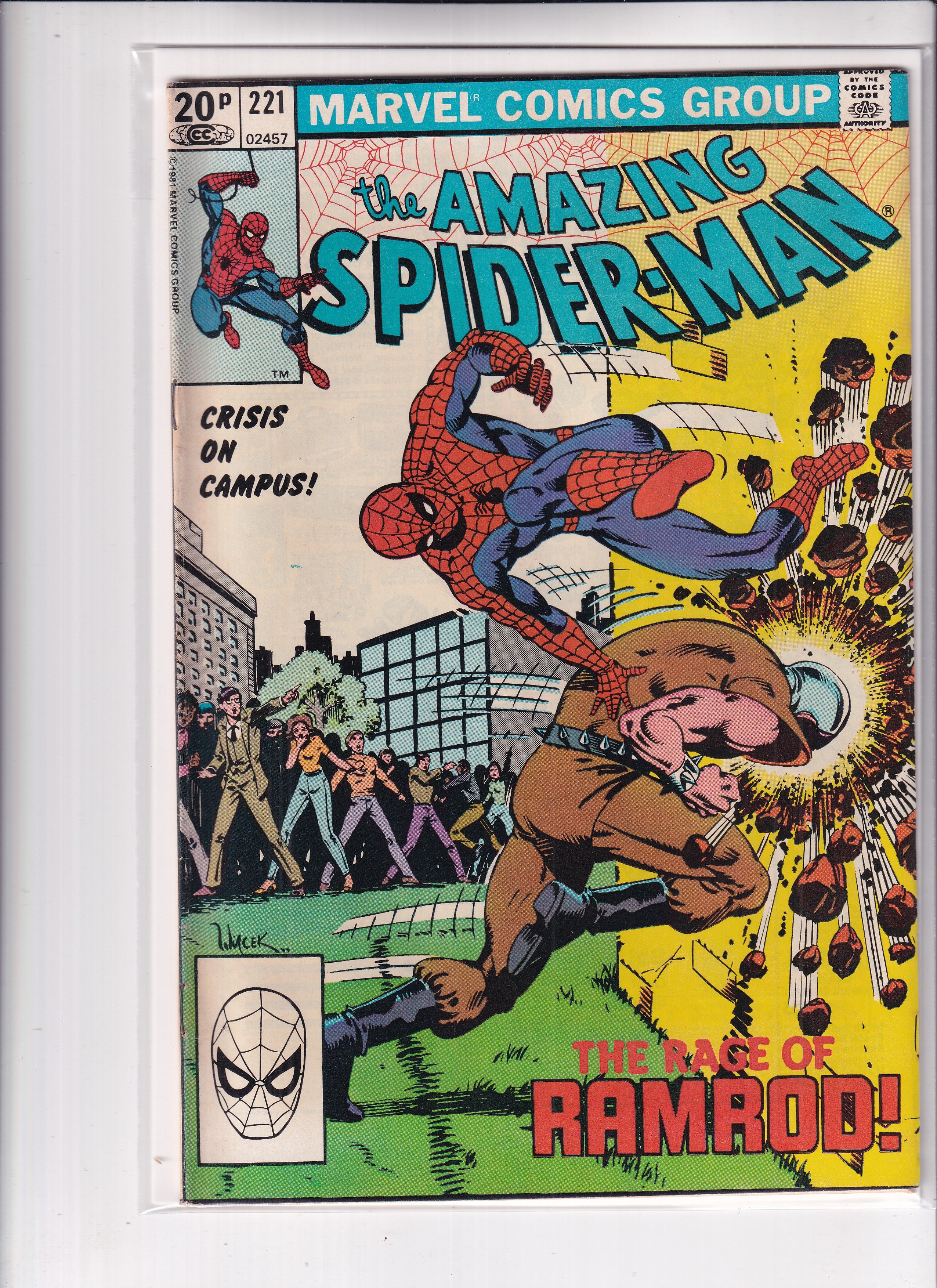 Amazing Spider-Man #221 - Slab City Comics 