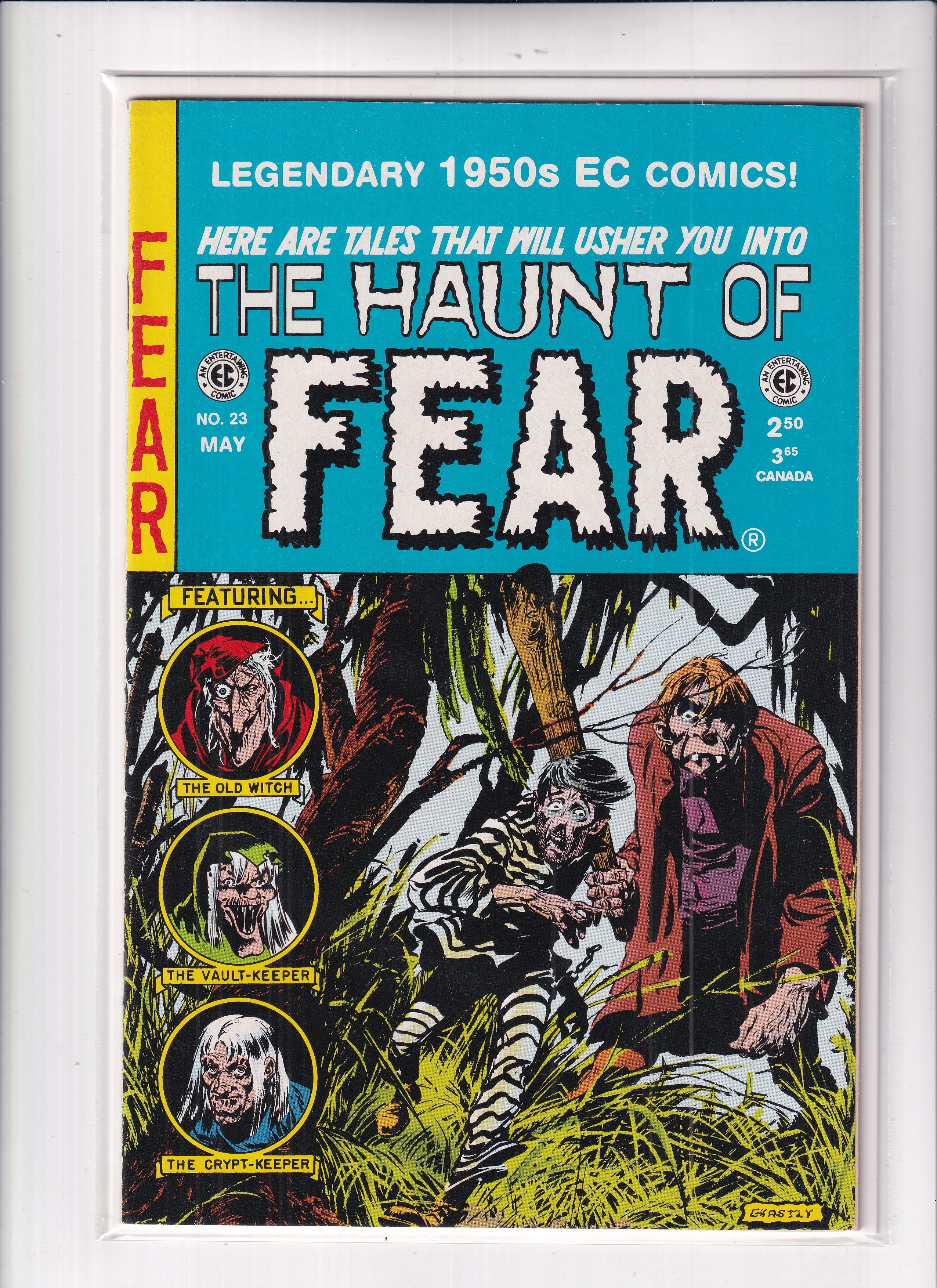 Haunt Of Fear #23 EC Reprint