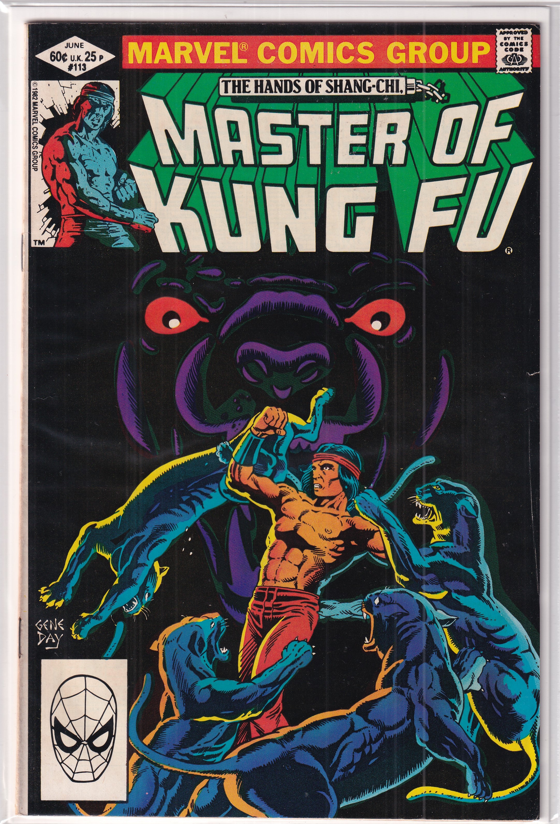 Master Of Kung Fu #113