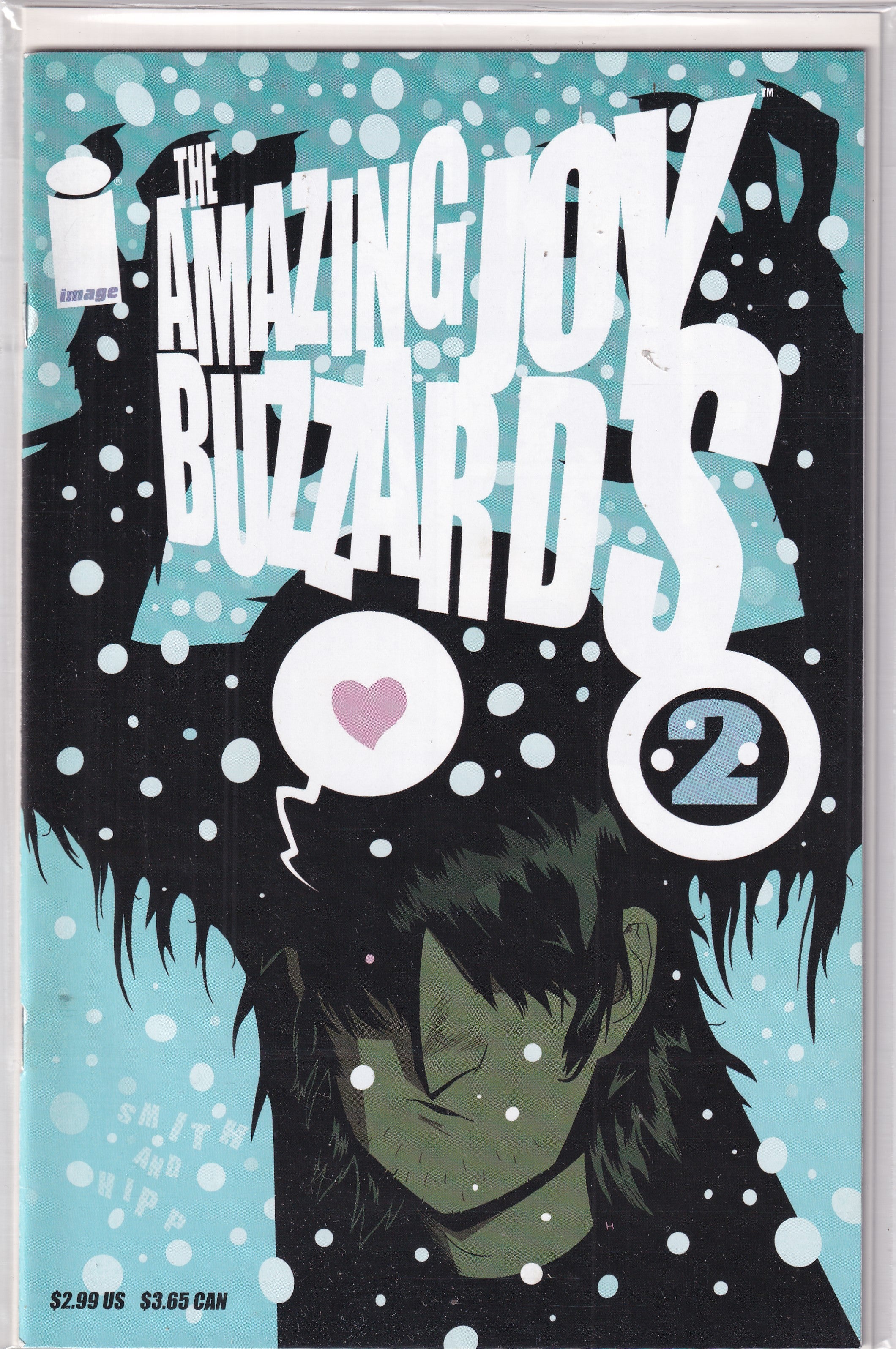 AMAZING JOY BUZZARDS #2 - Slab City Comics 