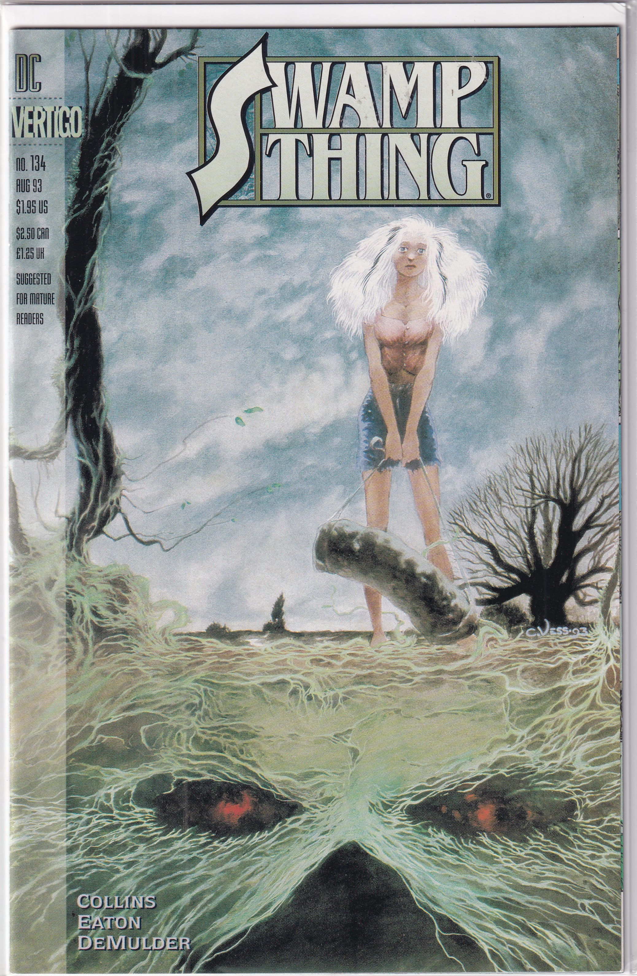 SWAMP THING #134 - Slab City Comics 