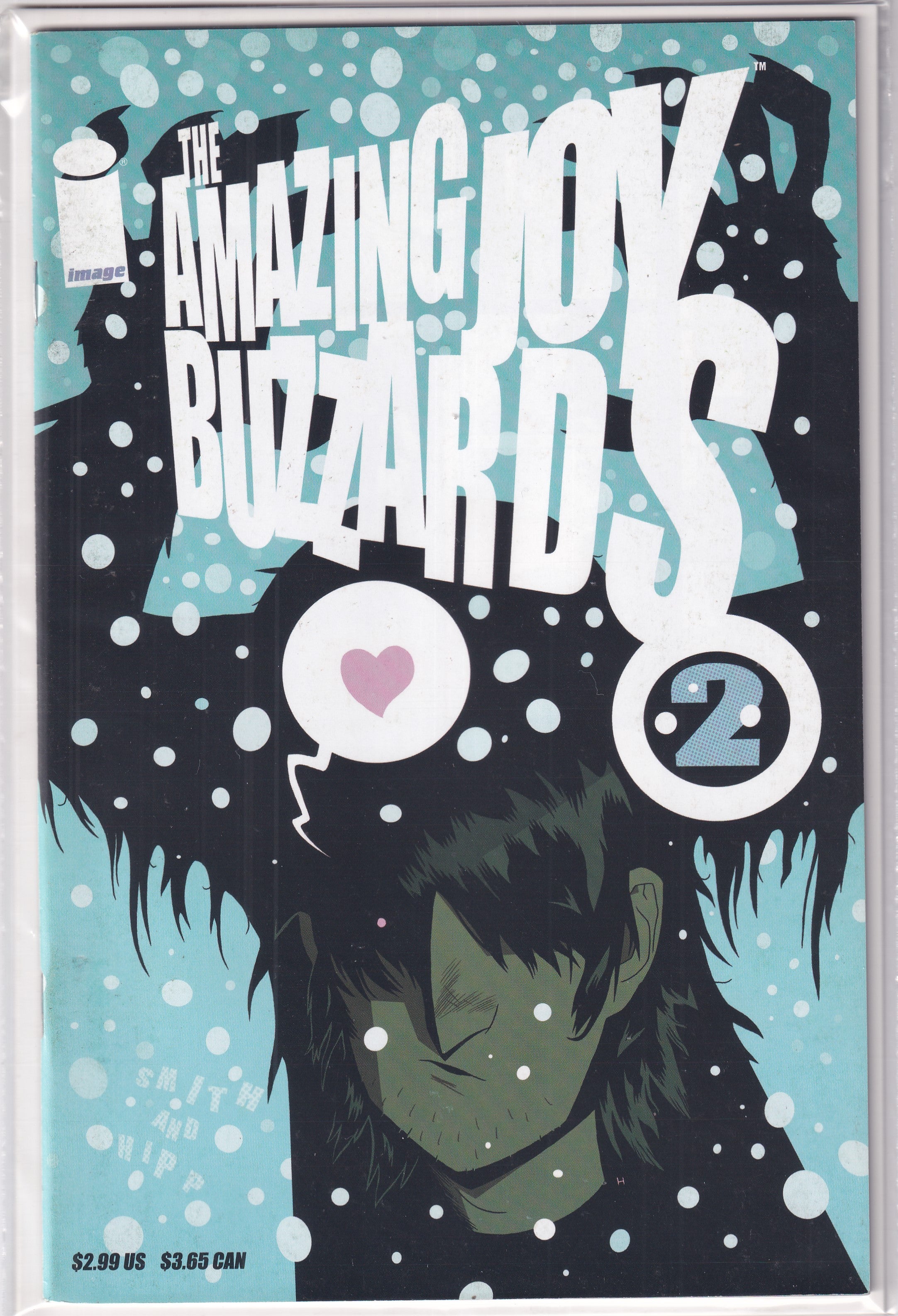 AMAZING JOY BUZZARDS #2 - Slab City Comics 