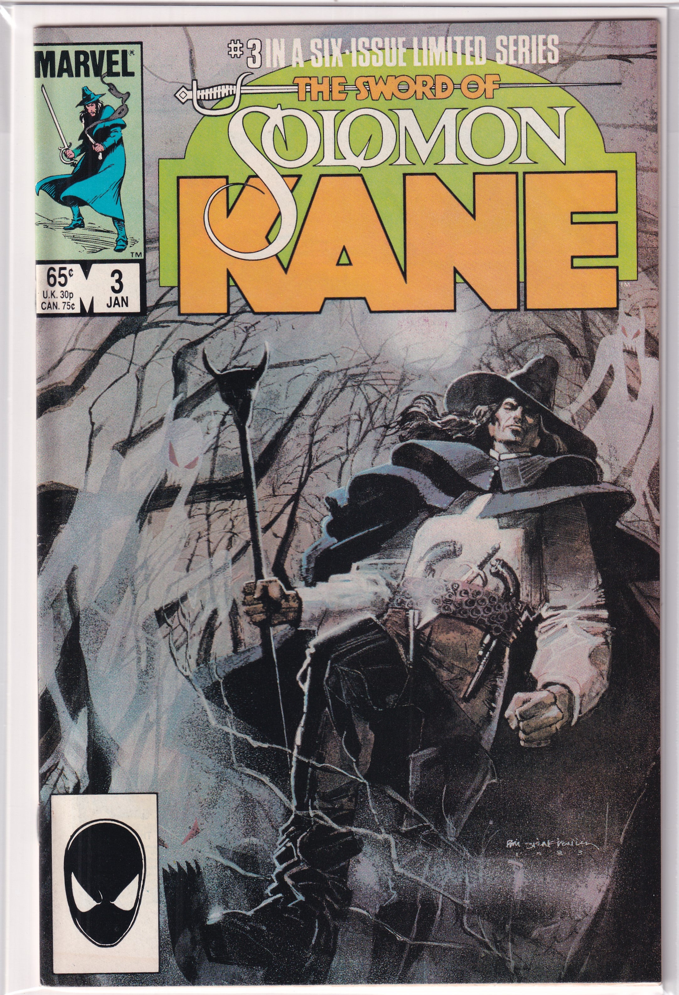 SWORD SOLOMON KANE #3 - Slab City Comics 