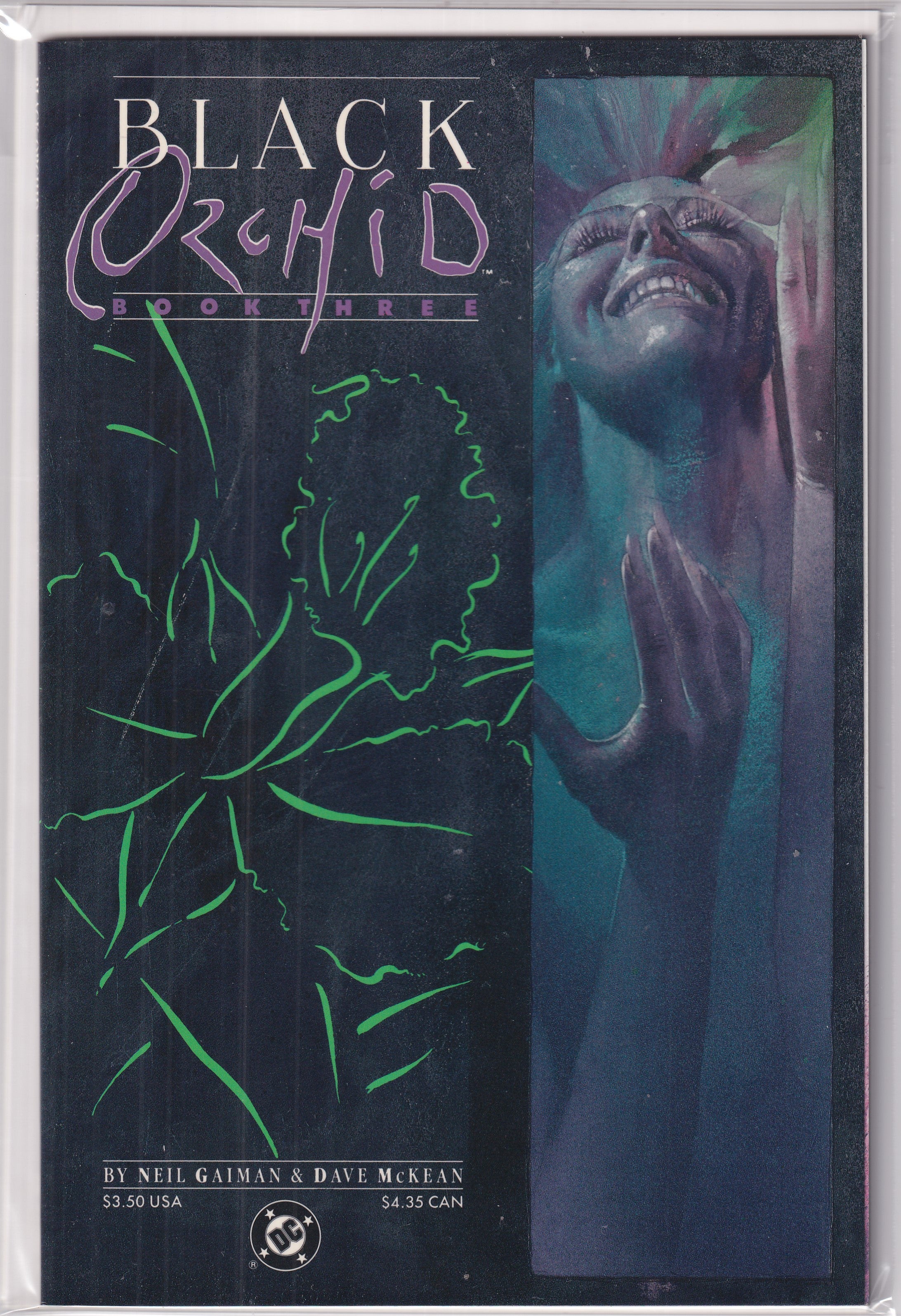 BLACK ORCHID #3 - Slab City Comics 