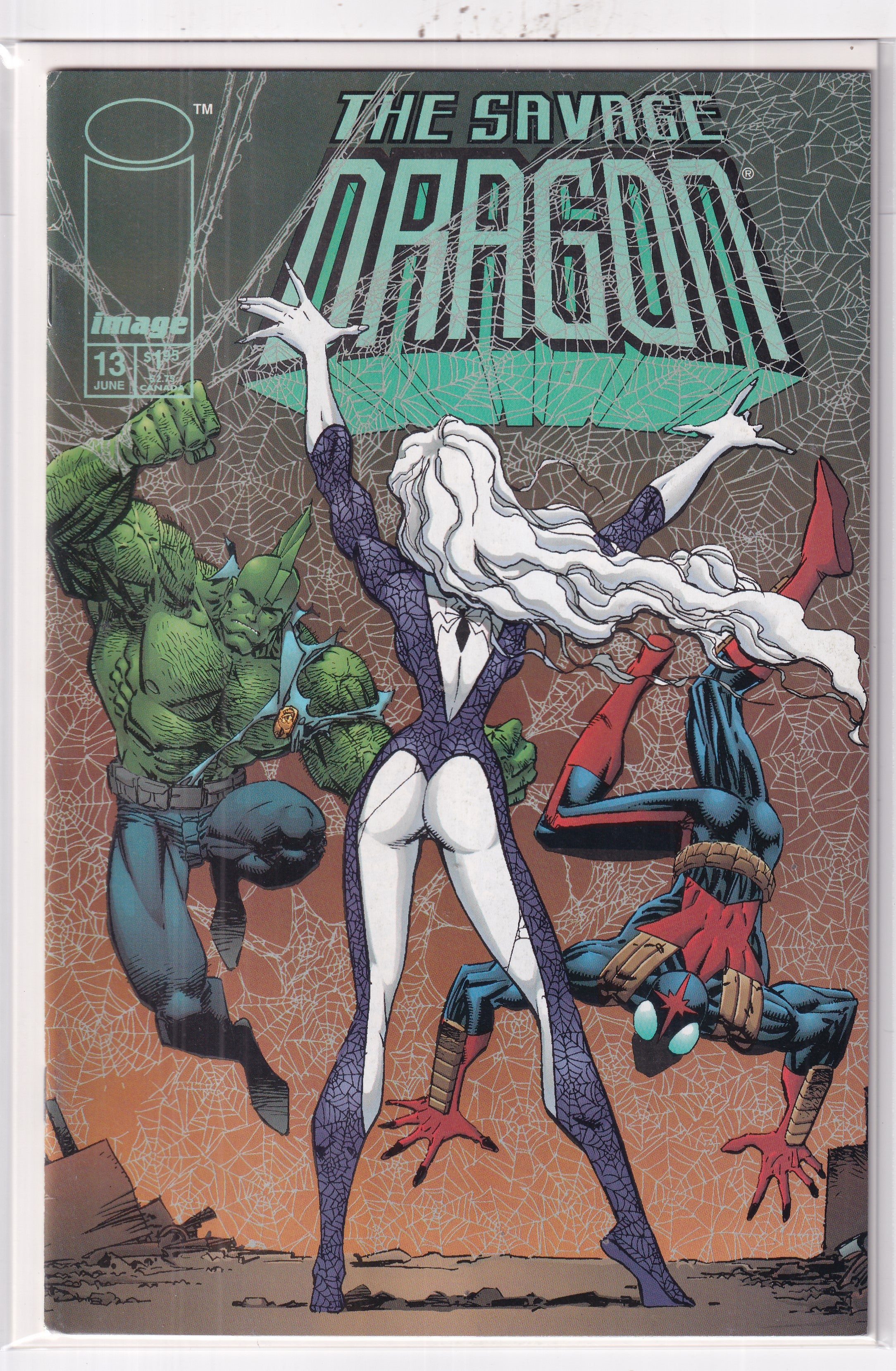 SAVAGE DRAGON #13 - Slab City Comics 